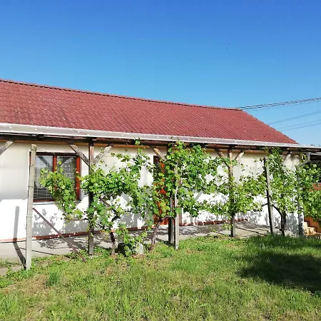 Apartman S Vinnym Sklepem Four Grapes Jevisovka Exterior photo