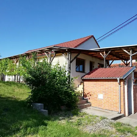 Apartman S Vinnym Sklepem Four Grapes Jevisovka Exterior photo